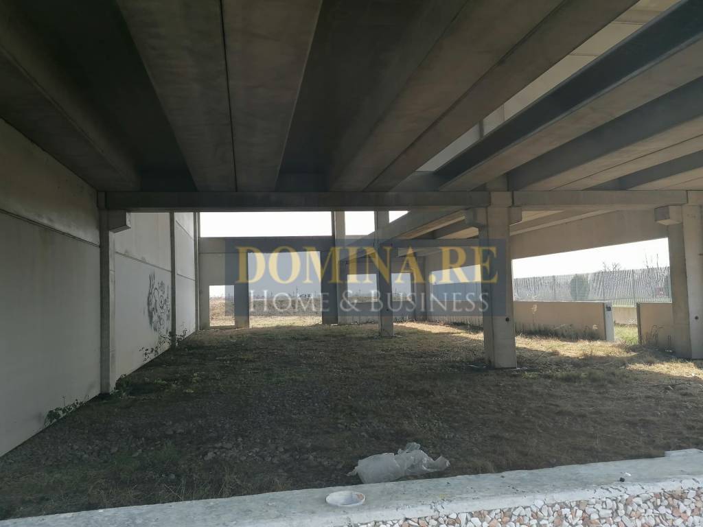 immagine annuncio 10 di 11