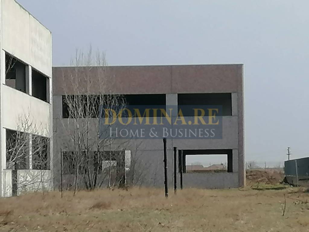 immagine annuncio 6 di 11