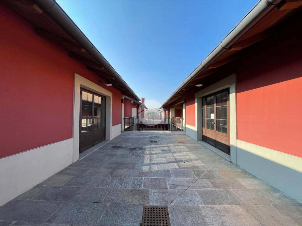 immagine annuncio 11 di 15
