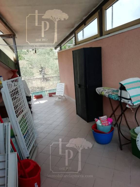 immagine annuncio 13 di 14