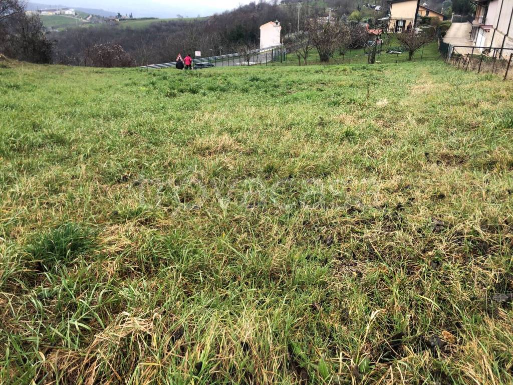 immagine annuncio 4 di 6