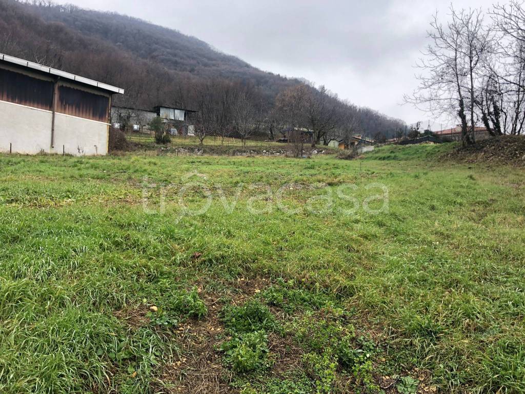 immagine annuncio 1 di 6