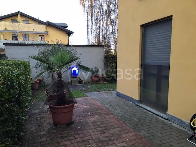 immagine annuncio 3 di 12