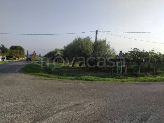immagine annuncio 2 di 6