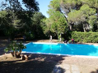 Villa bifamiliare in affitto a sabaudia strada lungomare pontino, 10052