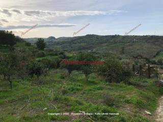 Terreno agricolo in vendita a collesano contrada calzata