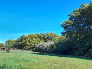 Terreno agricolo in vendita a manziana via della mola, 00