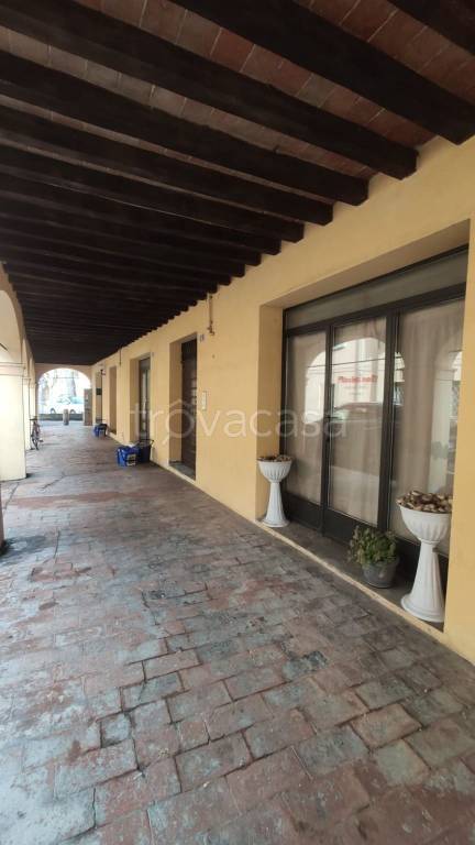 immagine annuncio 5 di 6