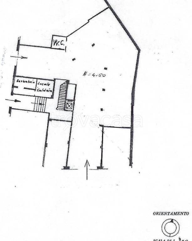 immagine annuncio 1 di 11