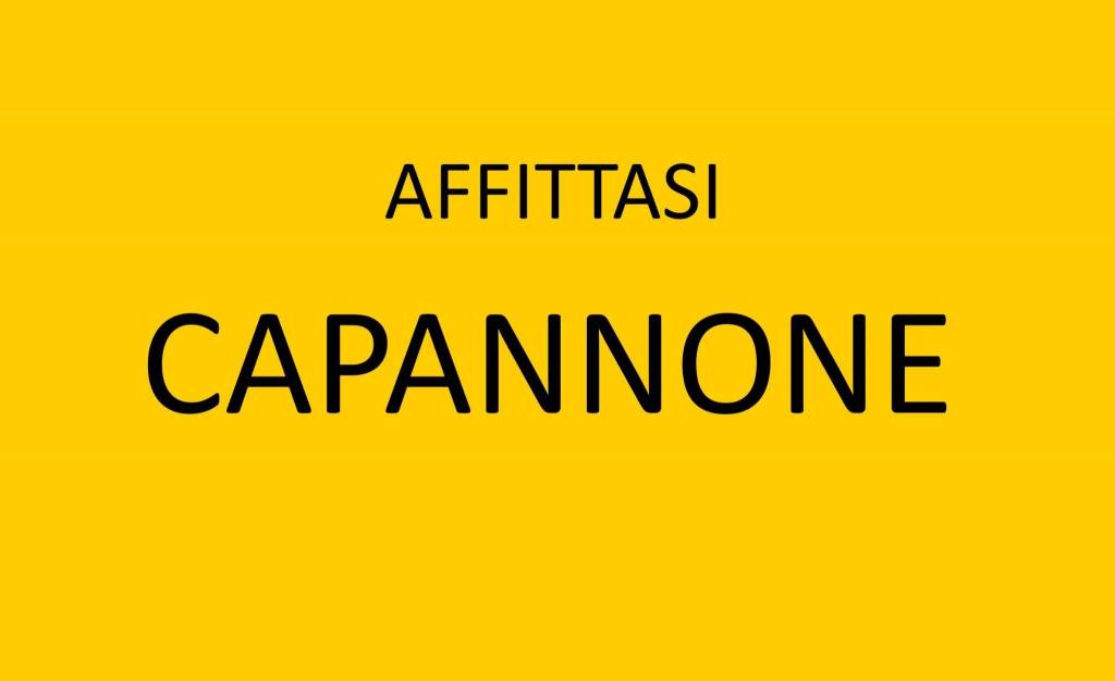 Capannone Industriale in affitto a Nove