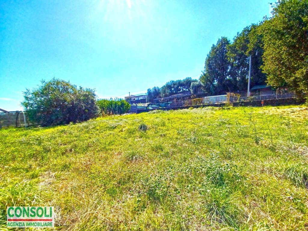 immagine annuncio 7 di 9