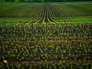 Terreno agricolo in vendita a conegliano via asiago ,