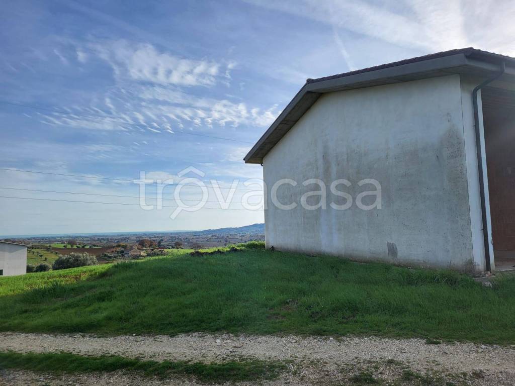 immagine annuncio 3 di 14