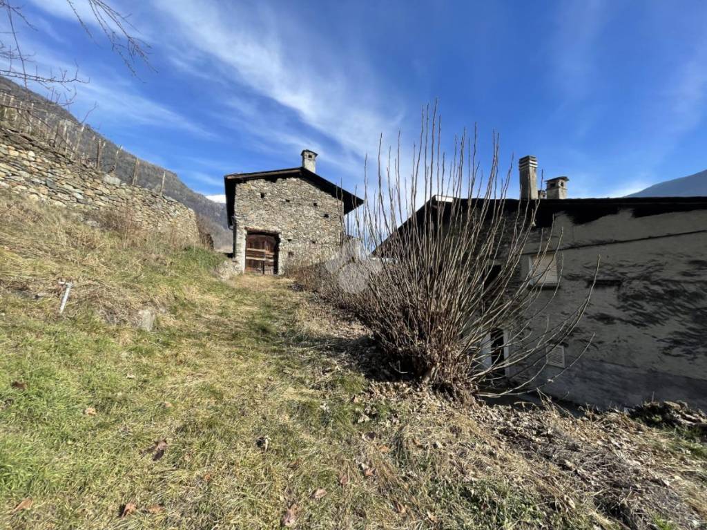 immagine annuncio 1 di 14