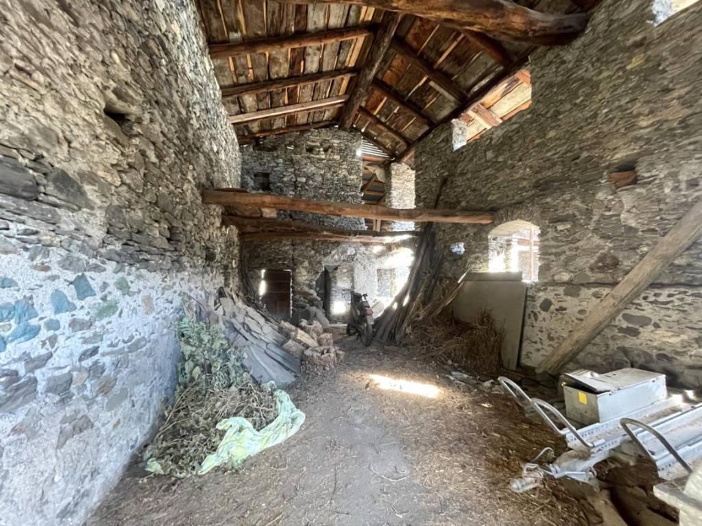 immagine annuncio 4 di 14