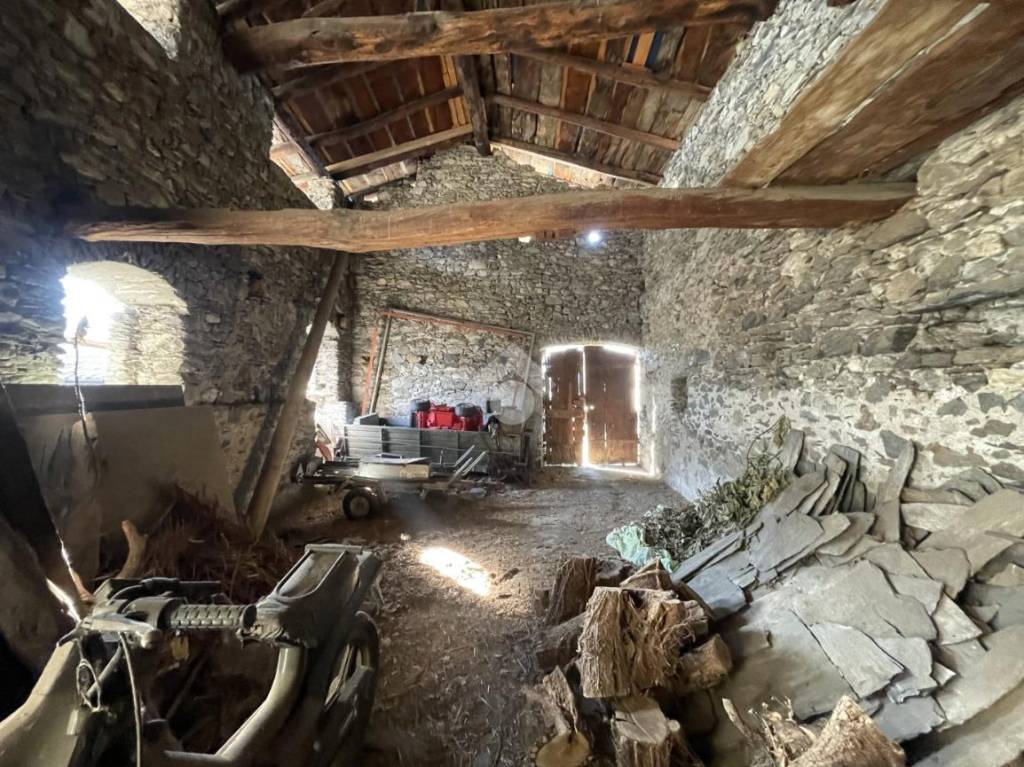 immagine annuncio 5 di 14