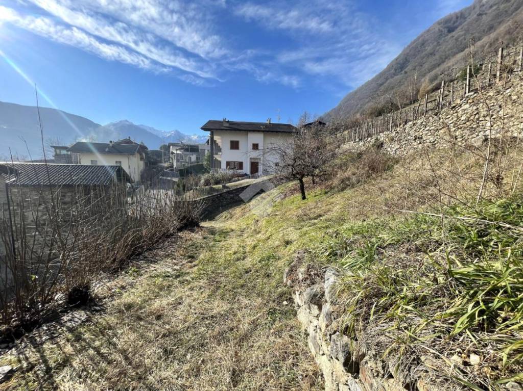 immagine annuncio 6 di 14