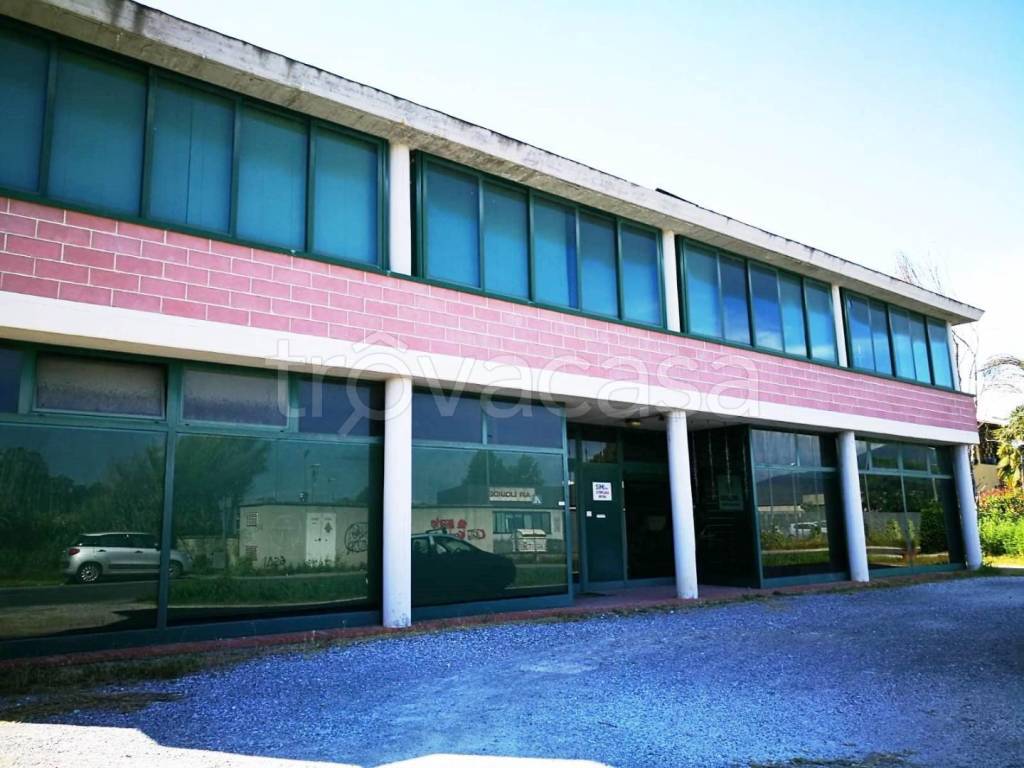 immagine annuncio 6 di 12