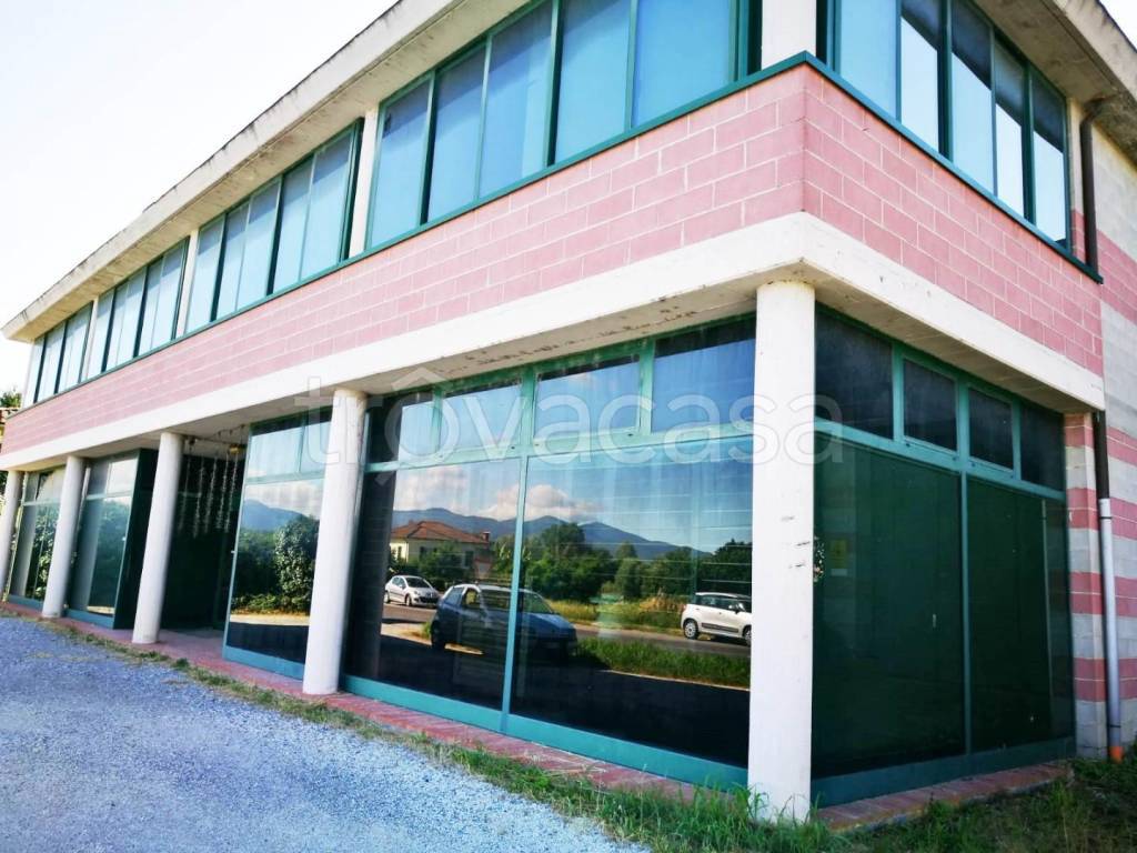 immagine annuncio 9 di 12