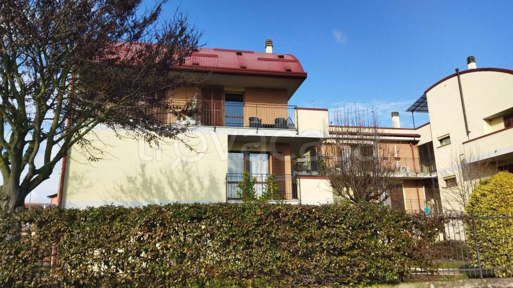 immagine annuncio 1 di 15