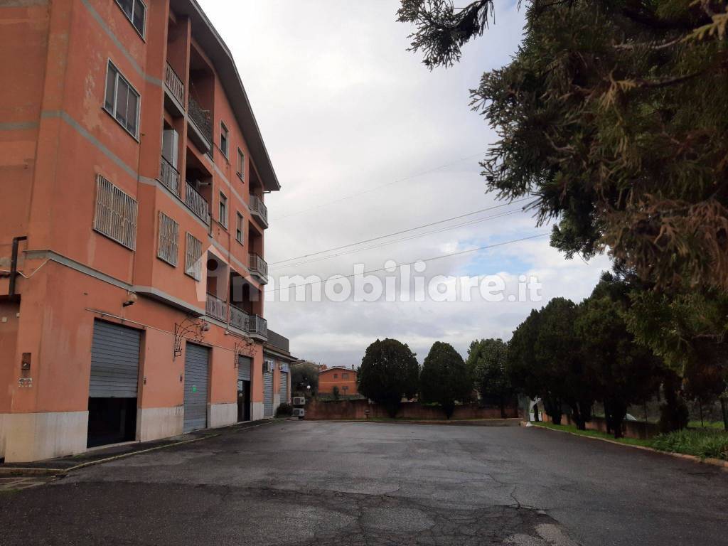 immagine annuncio 2 di 7