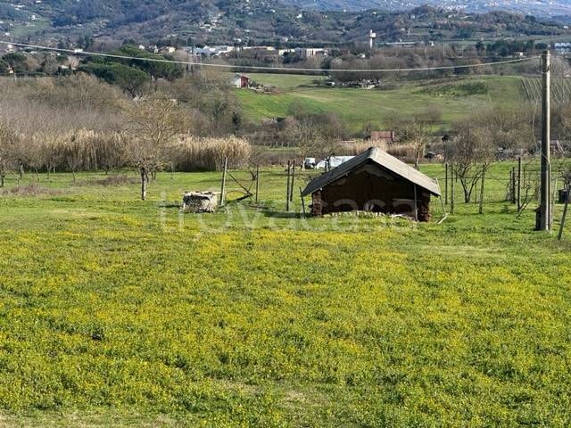 immagine annuncio 7 di 9