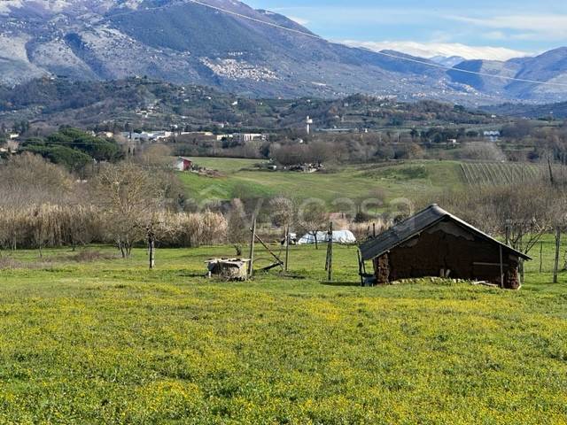 immagine annuncio 8 di 9