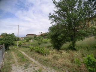 Terreno edificabile in vendita a muggia 