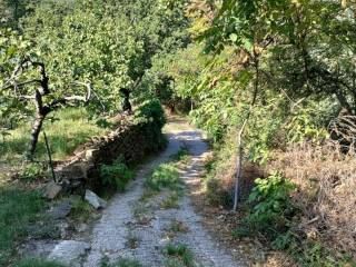 Terreno agricolo in vendita a muggia via di santa barbara s.n.c