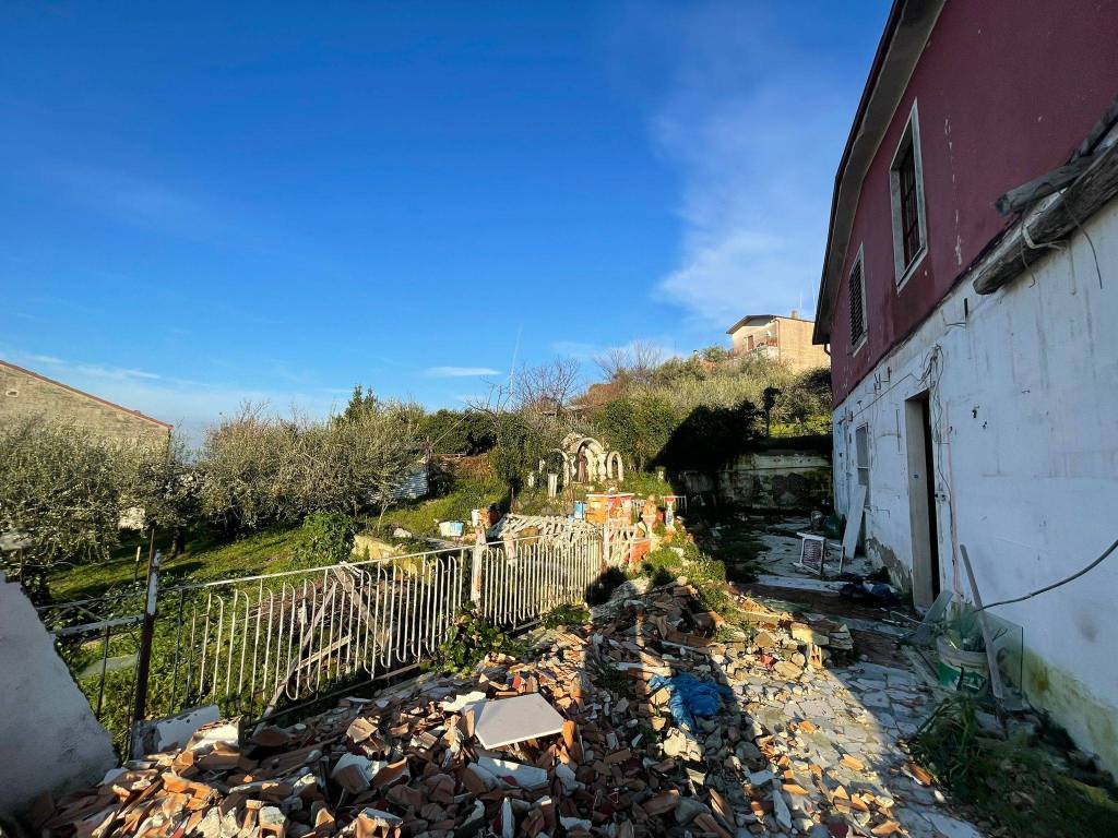 immagine annuncio 11 di 15