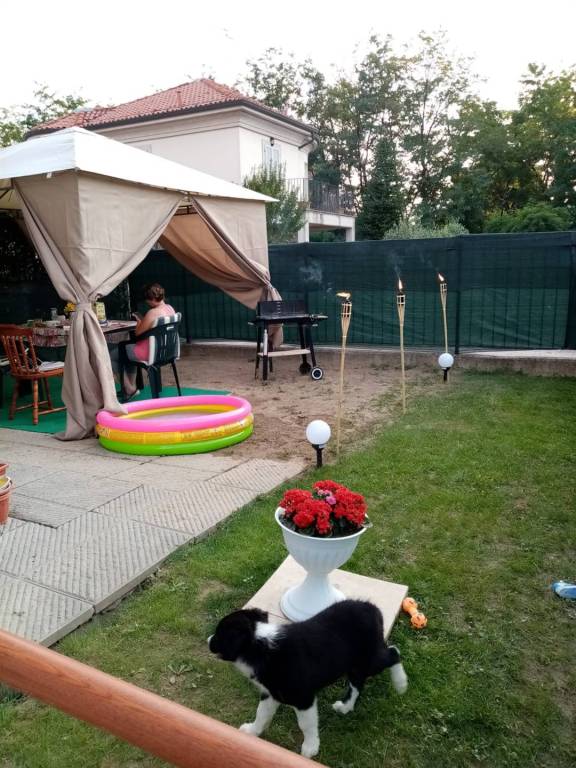 immagine annuncio 7 di 8