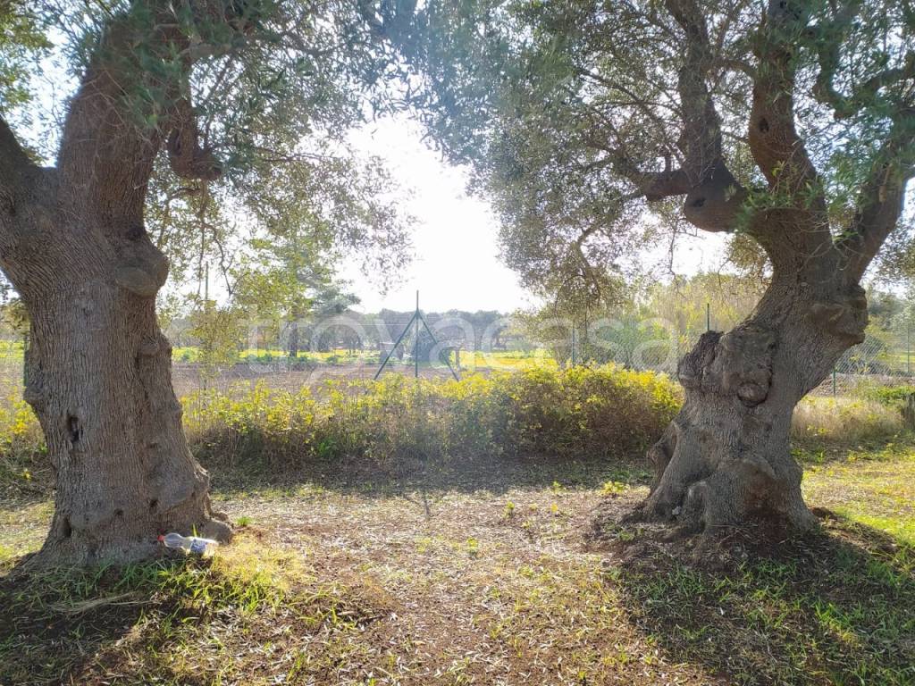 immagine annuncio 7 di 10