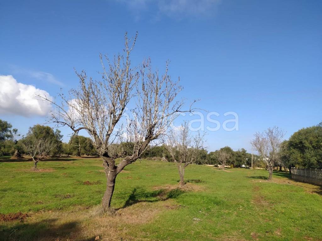 immagine annuncio 8 di 10