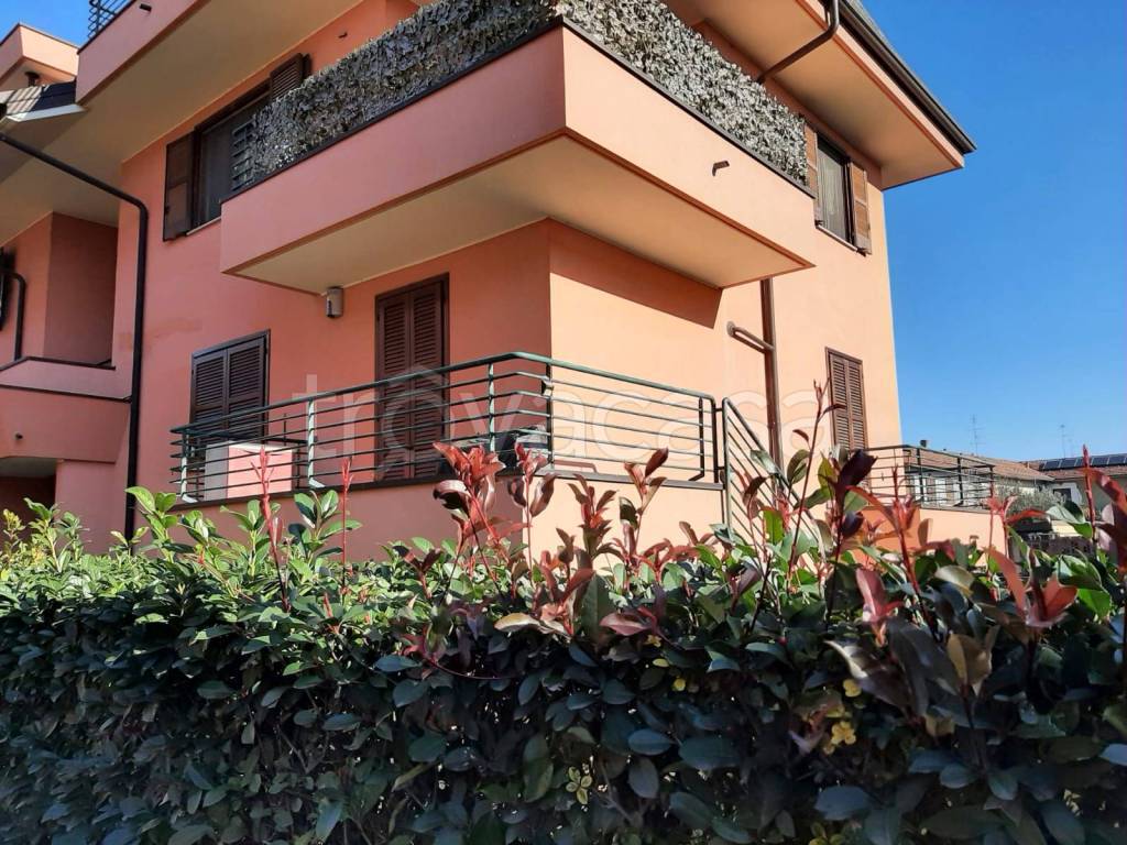 immagine annuncio 12 di 15