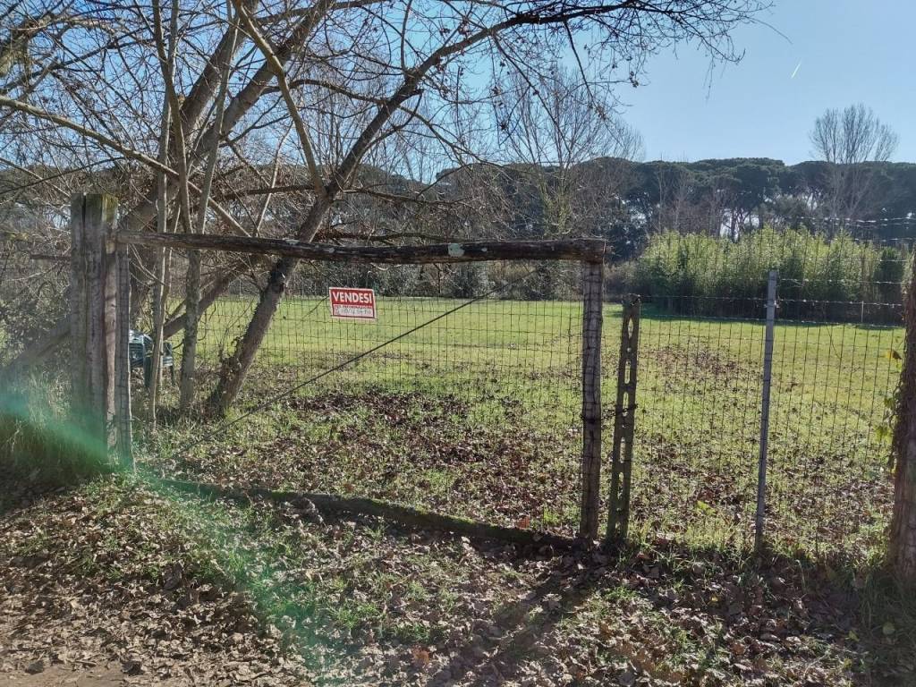 Terreno Agricolo in vendita a Viareggio via Adone del Cima, 1