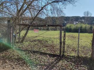 Terreno agricolo in vendita a viareggio via adone del cima, 1