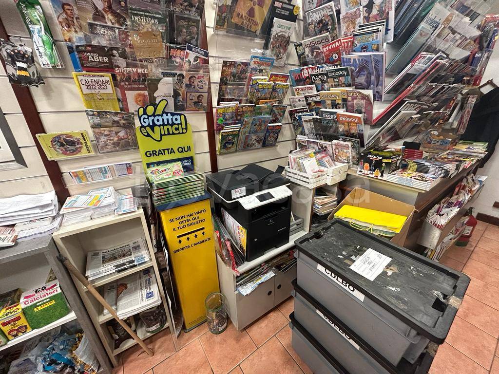 immagine annuncio 6 di 15