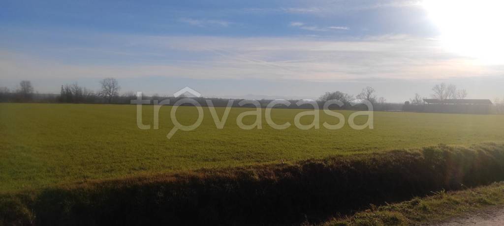 immagine annuncio 4 di 9