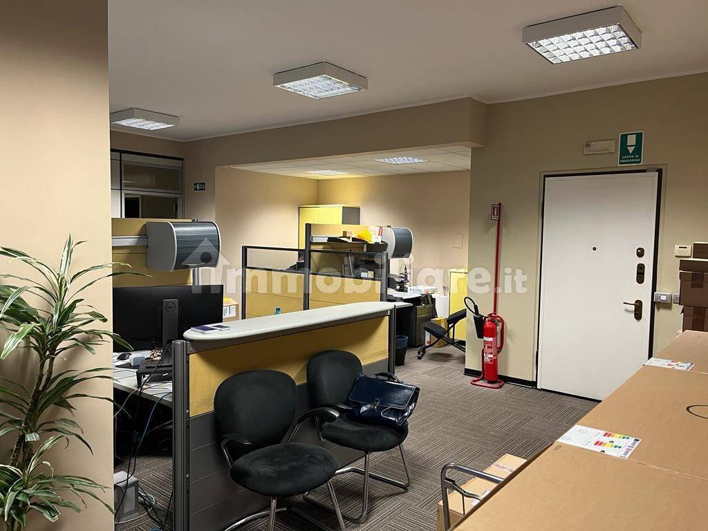 immagine annuncio 4 di 8