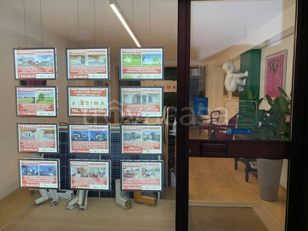 immagine annuncio 9 di 12