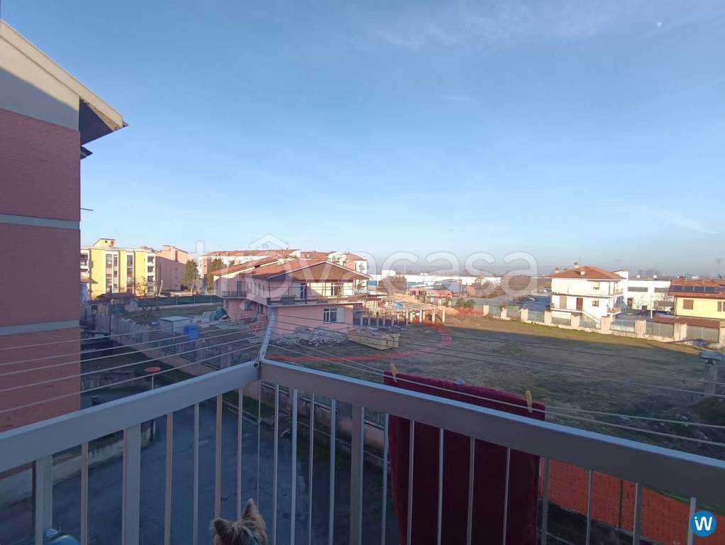 immagine annuncio 3 di 11