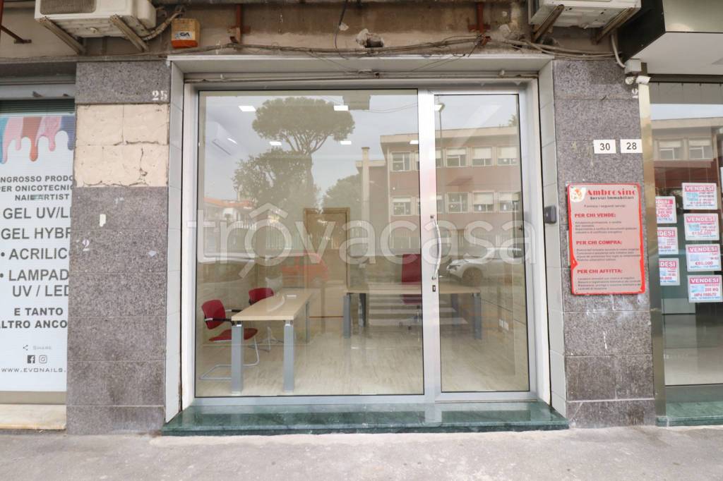 immagine annuncio 11 di 14