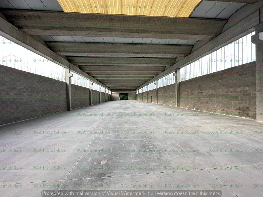 immagine annuncio 8 di 14