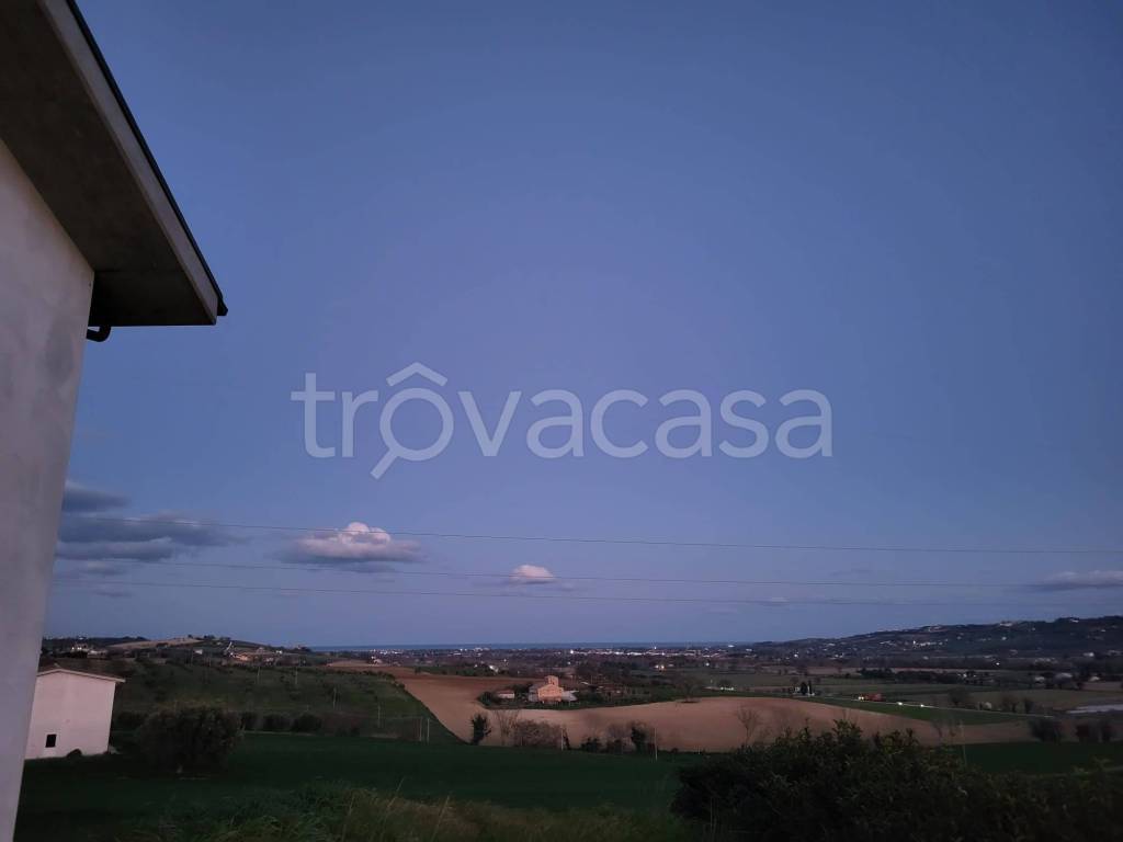 immagine annuncio 9 di 14