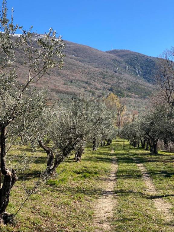immagine annuncio 2 di 8