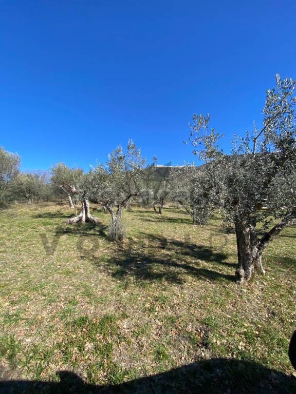 immagine annuncio 6 di 8