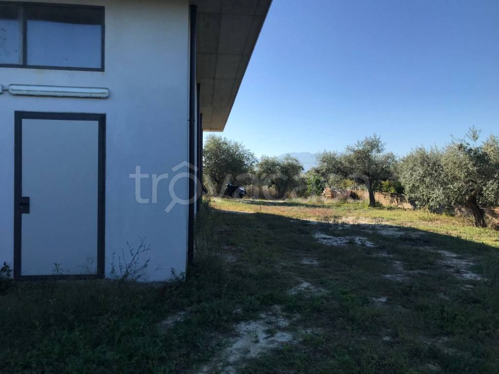 immagine annuncio 2 di 9