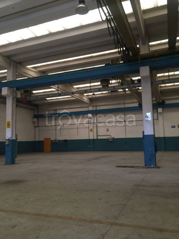 immagine annuncio 1 di 8