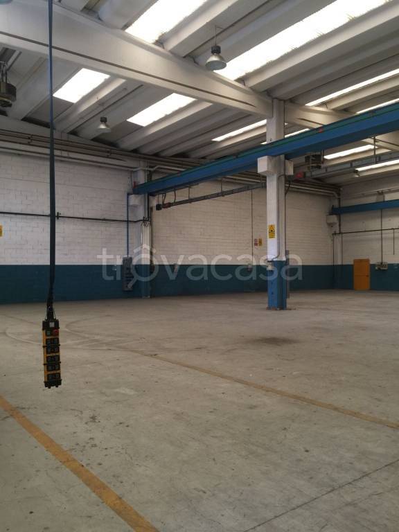 immagine annuncio 2 di 8