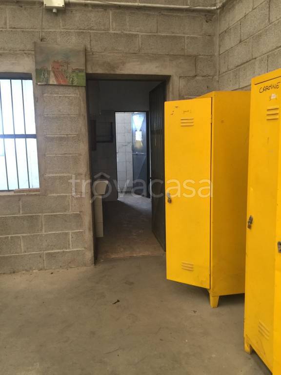 immagine annuncio 4 di 8